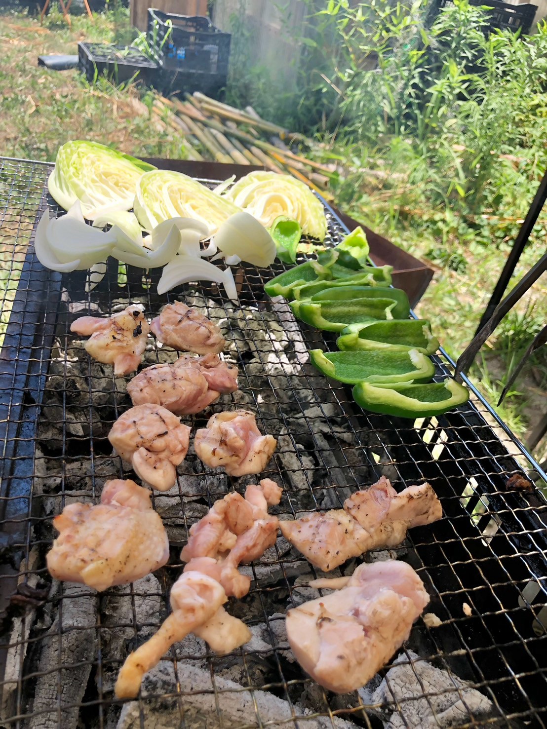 バーベキューの野菜と鶏肉