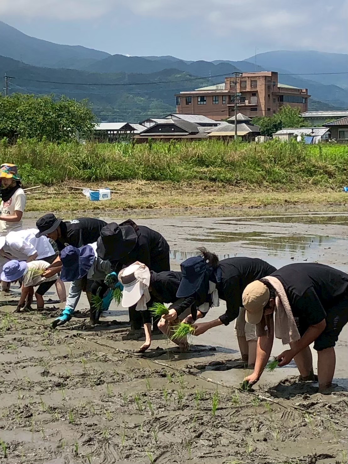 田んぼ作業